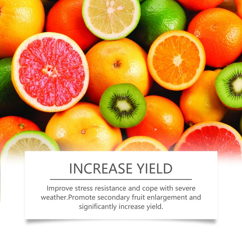 🌱 Fruit Plant Growth Powder – Wachstumsförderndes Pulver für Obst & Gemüse 🍓🥦