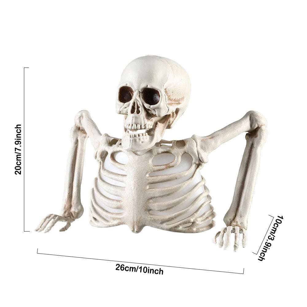 💀 Leuchtendes Halloween Skelett – Gruselige Deko für Haus & Garten