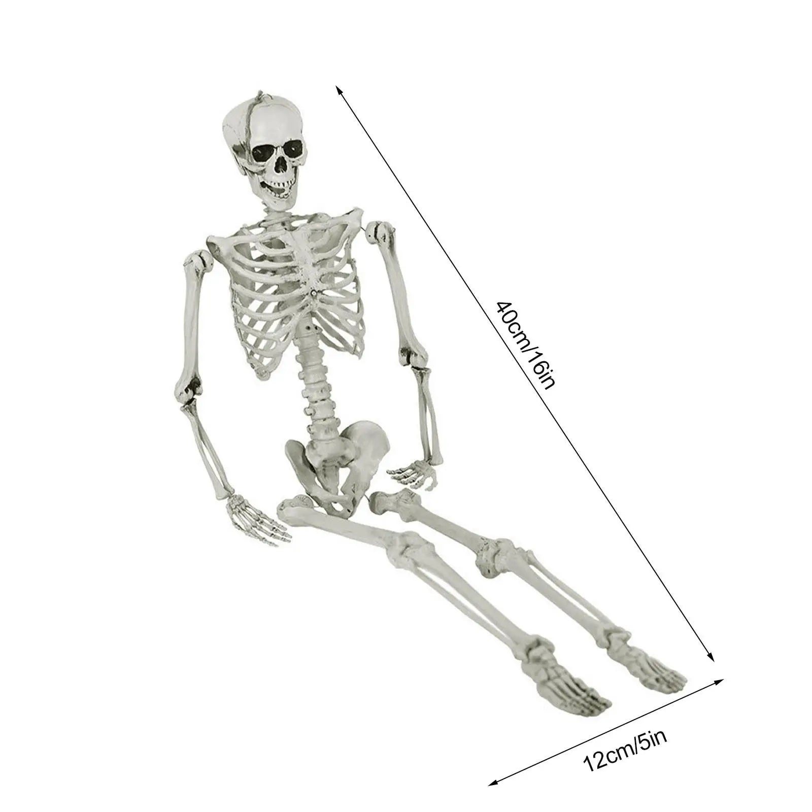 Halloween Skelett-Dekoration – Bewegliches Kunststoff-Skelett