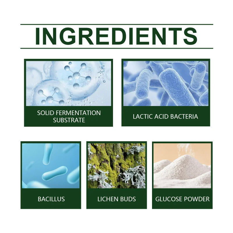 🌱 Fruit Plant Growth Powder – Wachstumsförderndes Pulver für Obst & Gemüse 🍓🥦